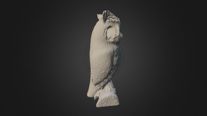 Owl 3D Model
