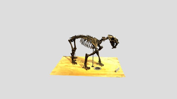 Beneski_ Fossil_ Model_ Example_13_42_07 3D Model