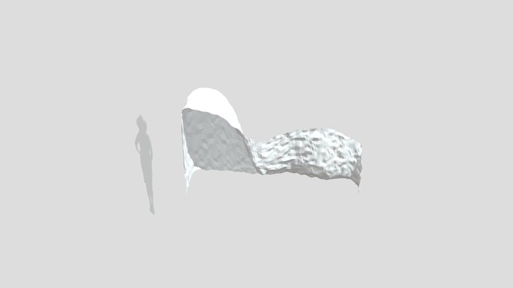 Snow 3D Model