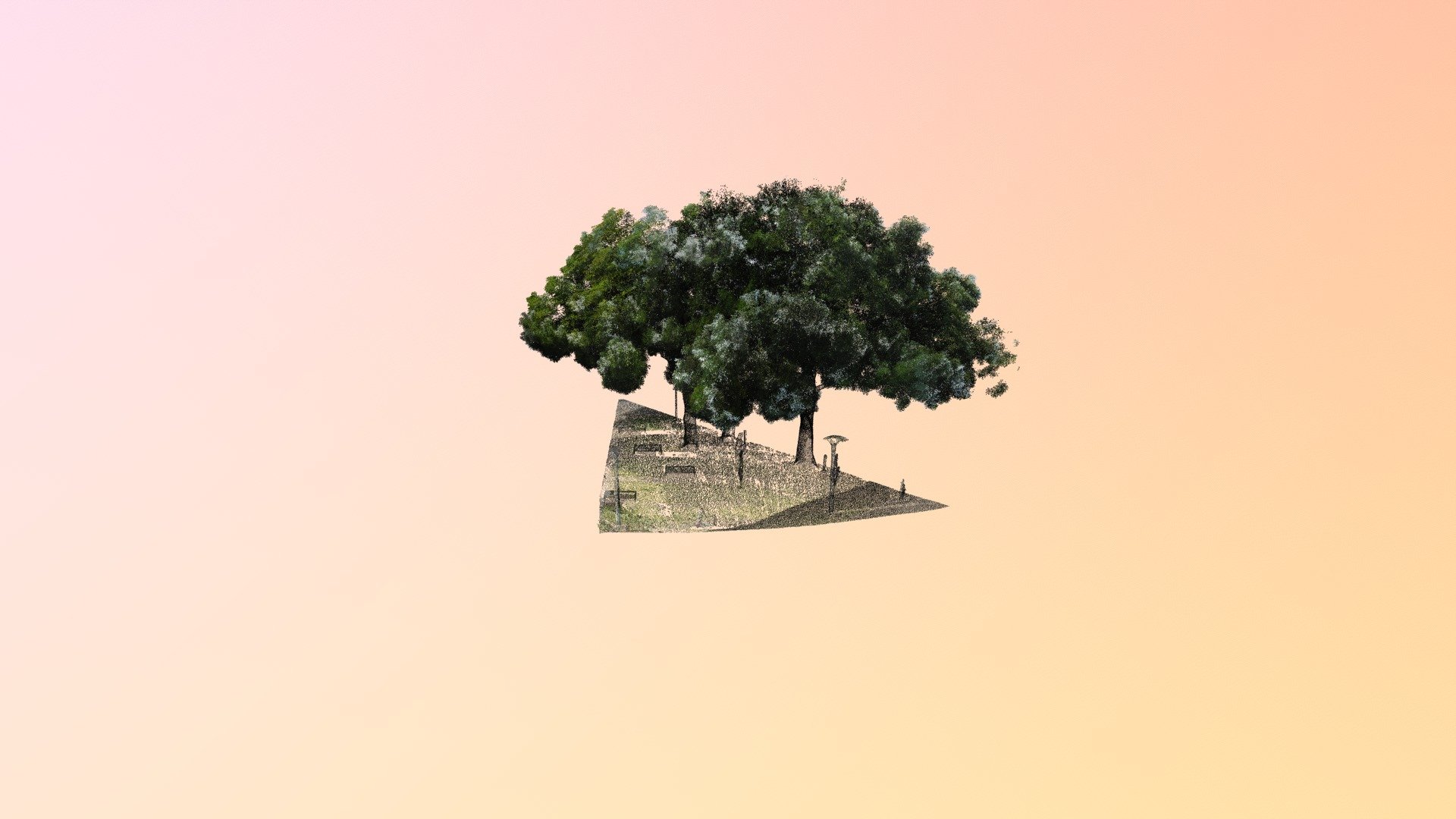 芒果樹(B03)