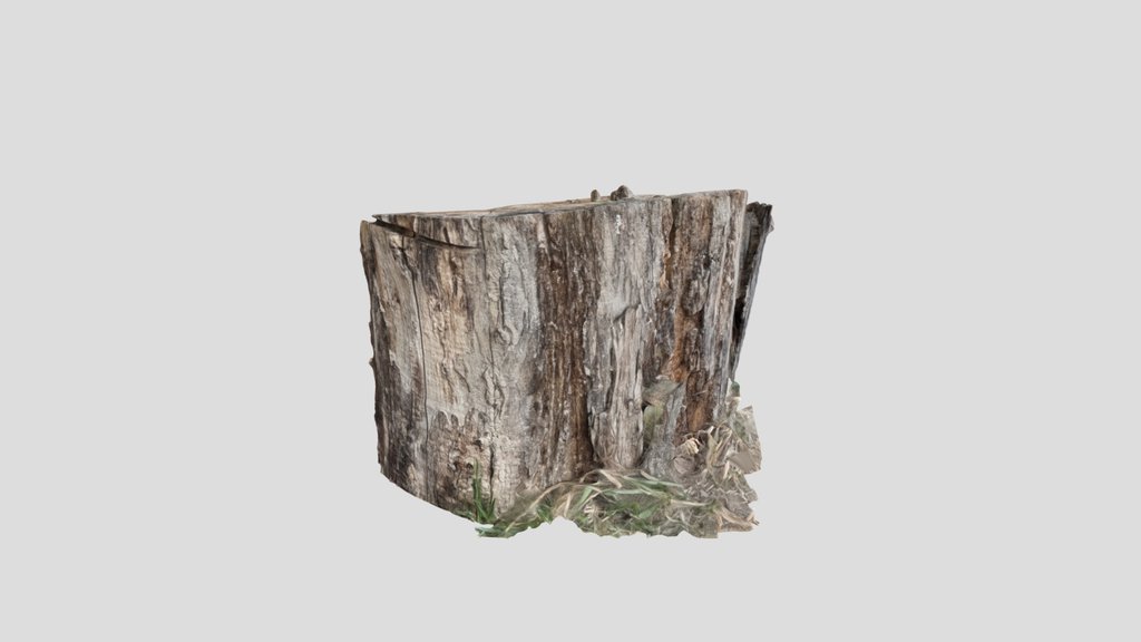 Wood_672110101