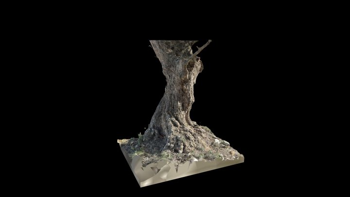 Tree_01 3D Model