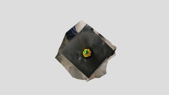Pineapple (from Metashape) 3D Model