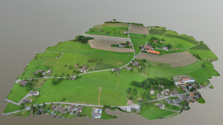 Reinach Hintere Bergstrasse 3D Model