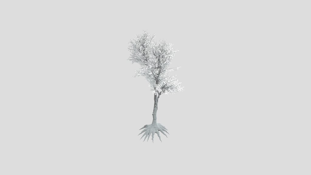 Tree 36