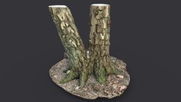 Split Tree Stumps