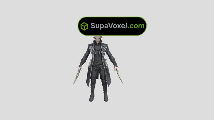 Elf Assassin Character - Hunyuan 3D vs SupaVoxel