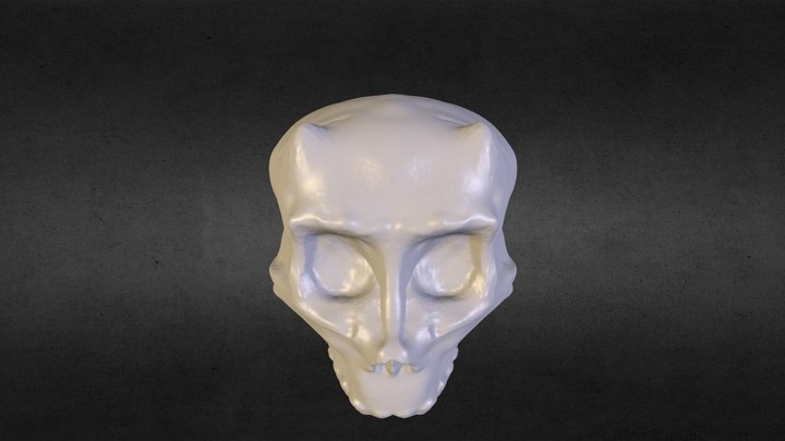 Demon Skull Sculpt 3D Model