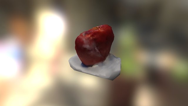 Untitled 3D Model