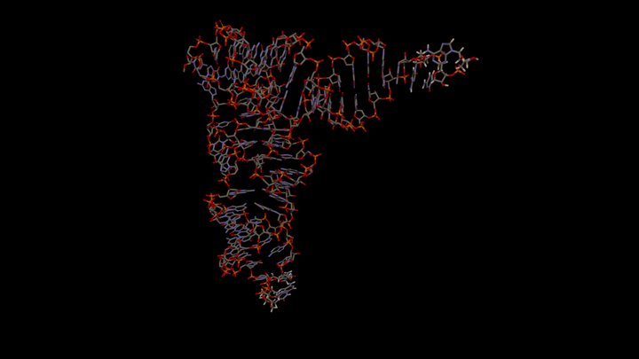 t-RNA-3 3D Model
