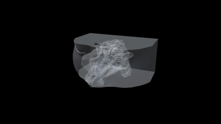 Printable 3D Model