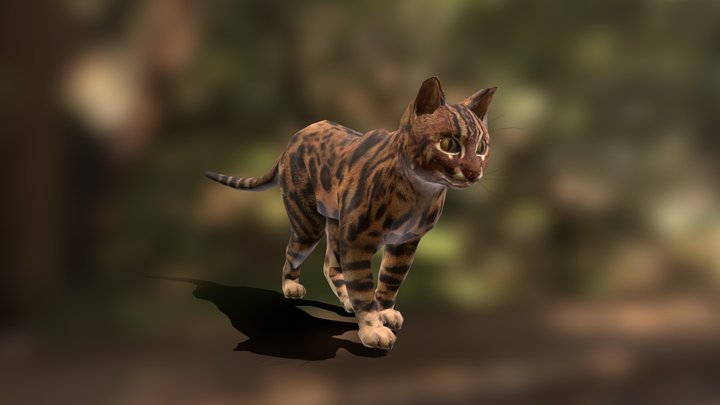 Leopard Cat 3D Model