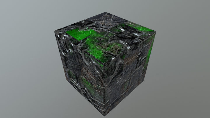 Zbrush4R8 Live Boolean to SubPainter 2 Borg Cube 3D Model