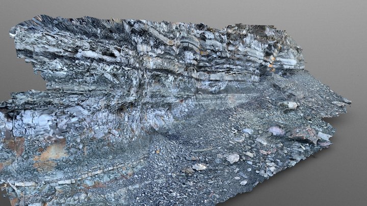 Cliff base near Blue Anchor 3D Model