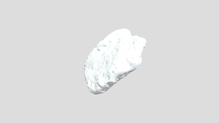 potsherd_1 3D Model