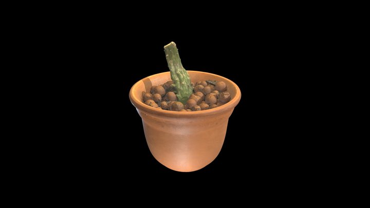 Cactus In Clay Pot 3D Model