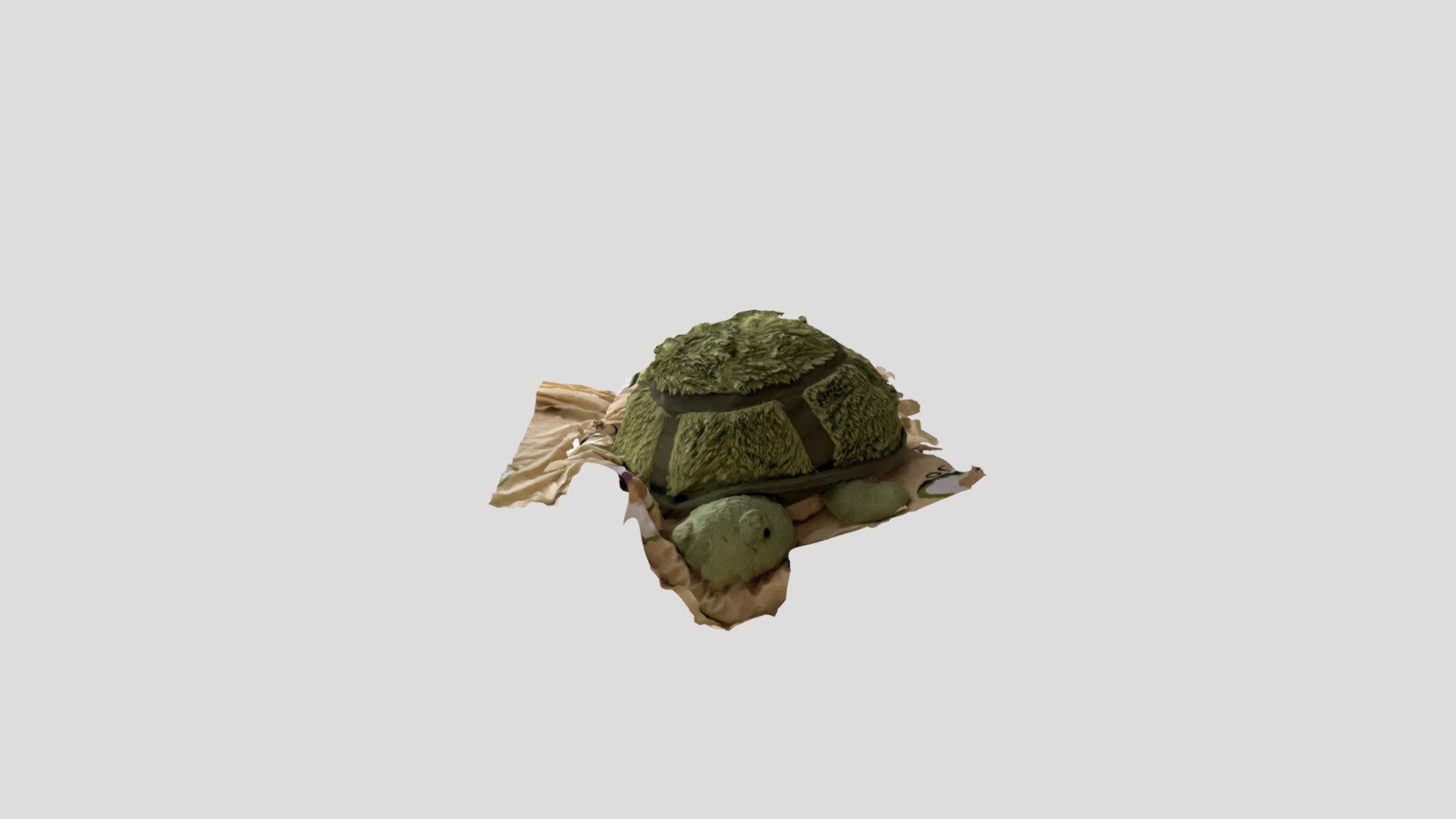 Polycam capture