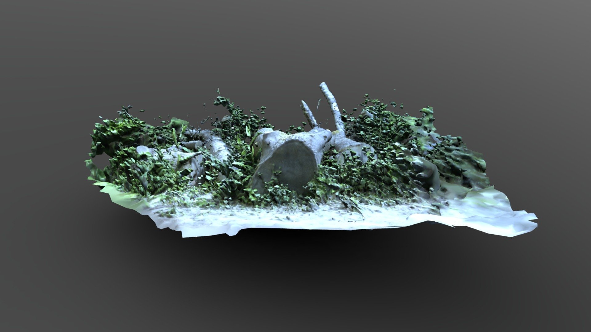 Trees
