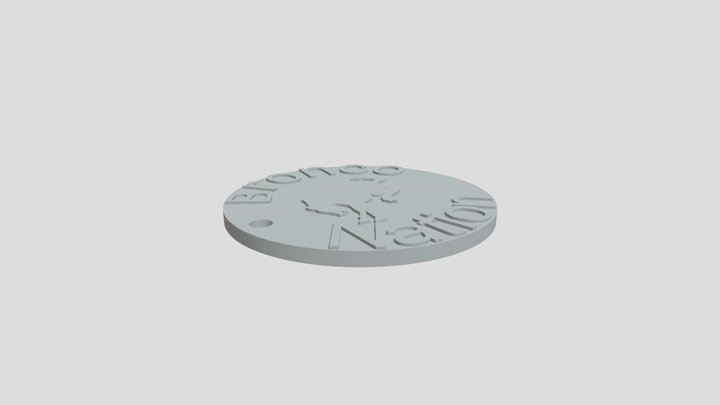 Bronco Coin V1 3D Model