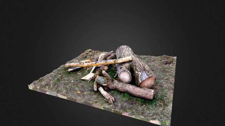 A pile of cut tree 3D Model