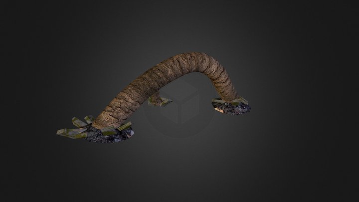 Tree Root 3D Model