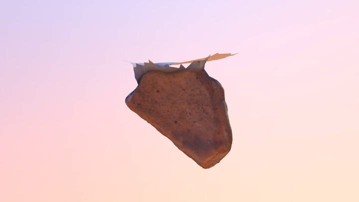 Pot sherd 4 3D Model