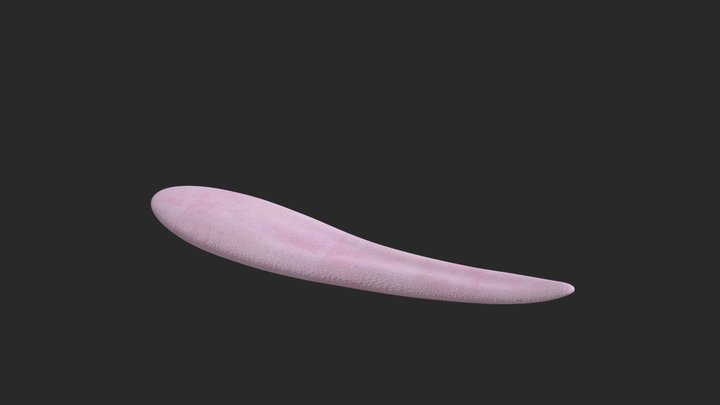 Sharp Tongue 3D Model