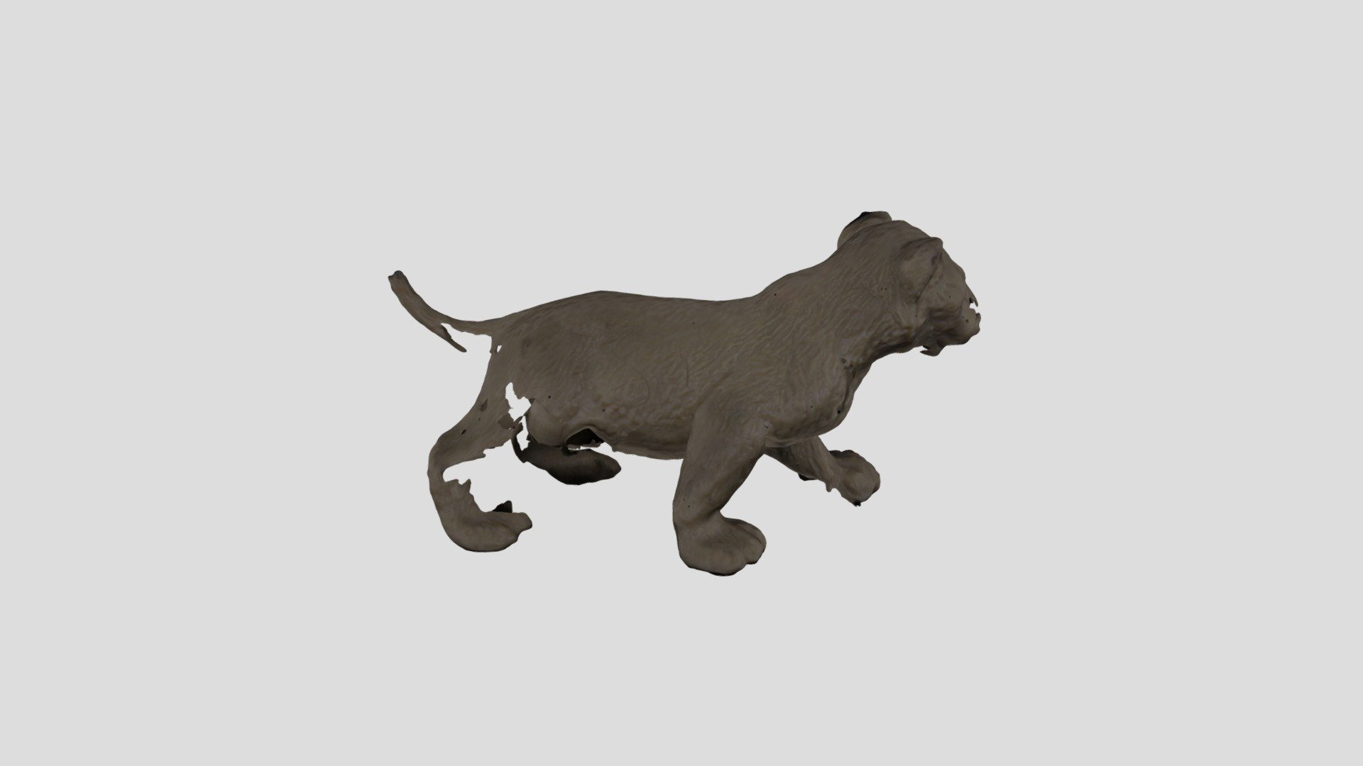 METASHAPE LION PROCESSED FAILED