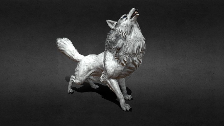 Wolf Animation Howl 3D Model