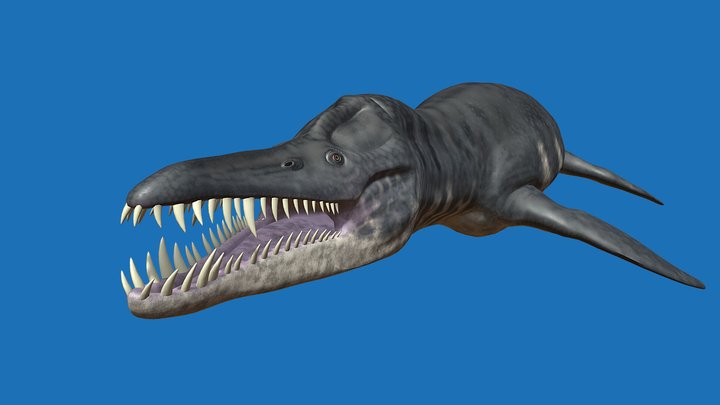 Liopleurodon by Dino Raul – Free 3D Model STL