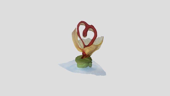 Douce Idee by MicroM  Photogrammetry v2 3D Model