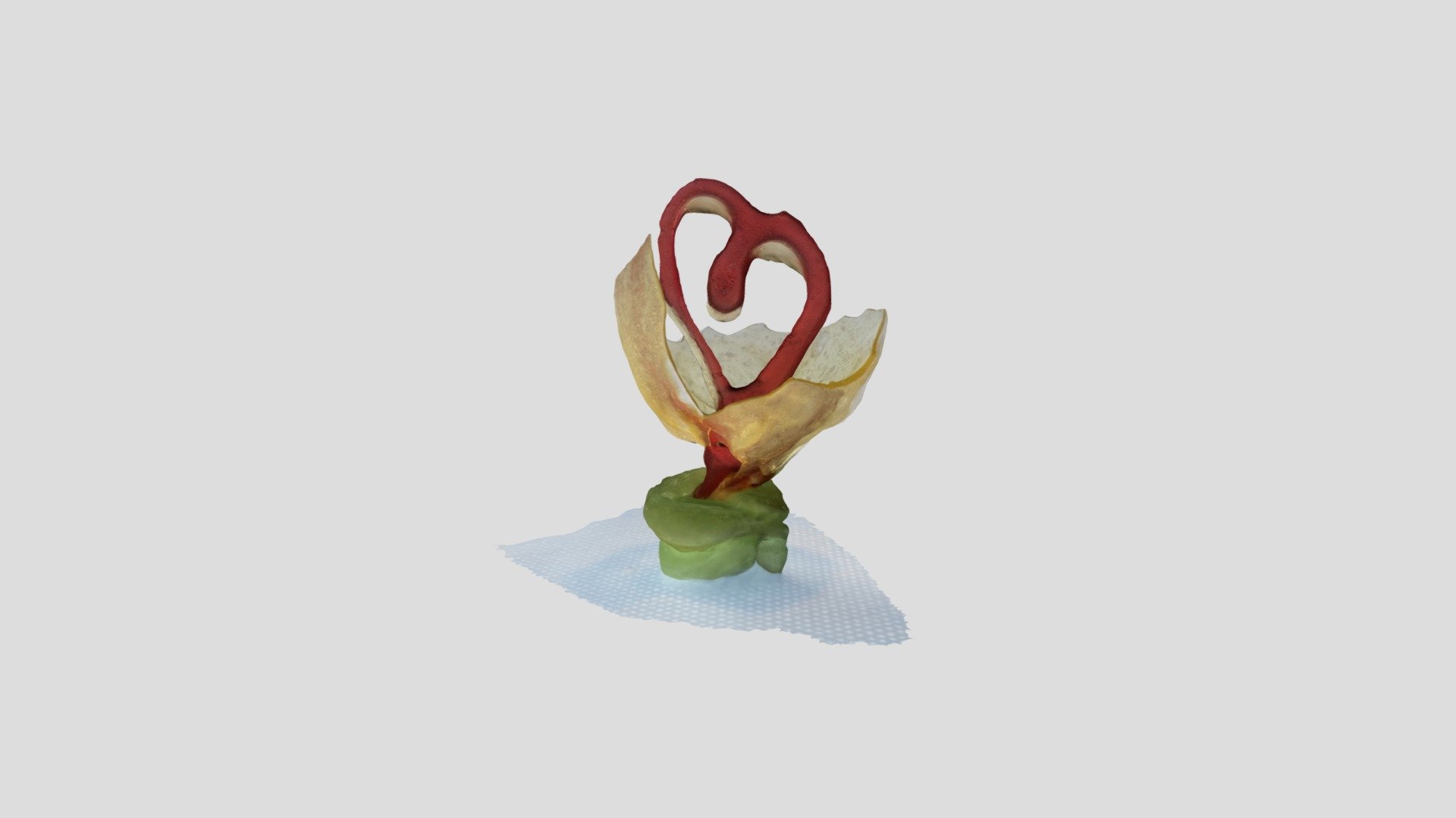 Douce Idee by MicroM  Photogrammetry v2