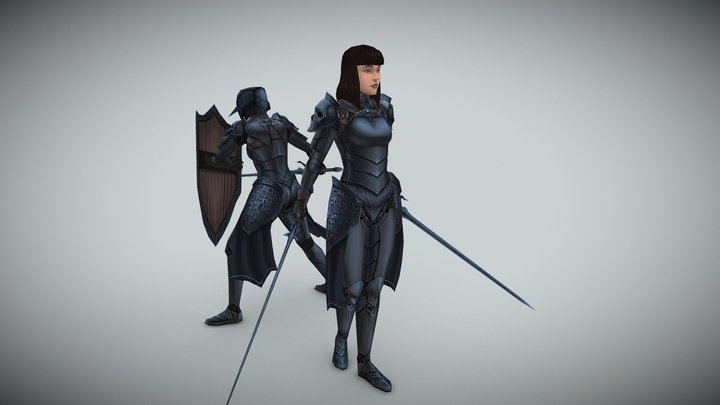Shadow Knights 3D Model