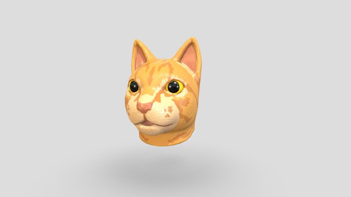 Cat Mask Orange 3D Model