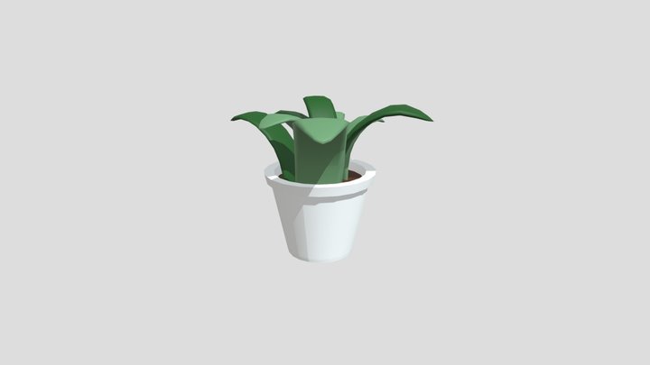 Planta 3D Model