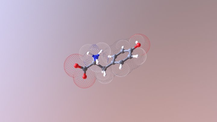 Tyrosine 3D Model