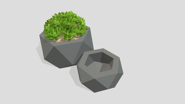 Hexa A02A03 3D Model