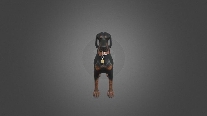 Rora - Dobermann 3D Model