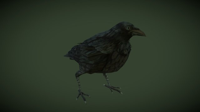 A Crow 3D Model