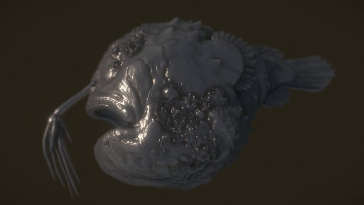 Dead Anglerfish 3D Model