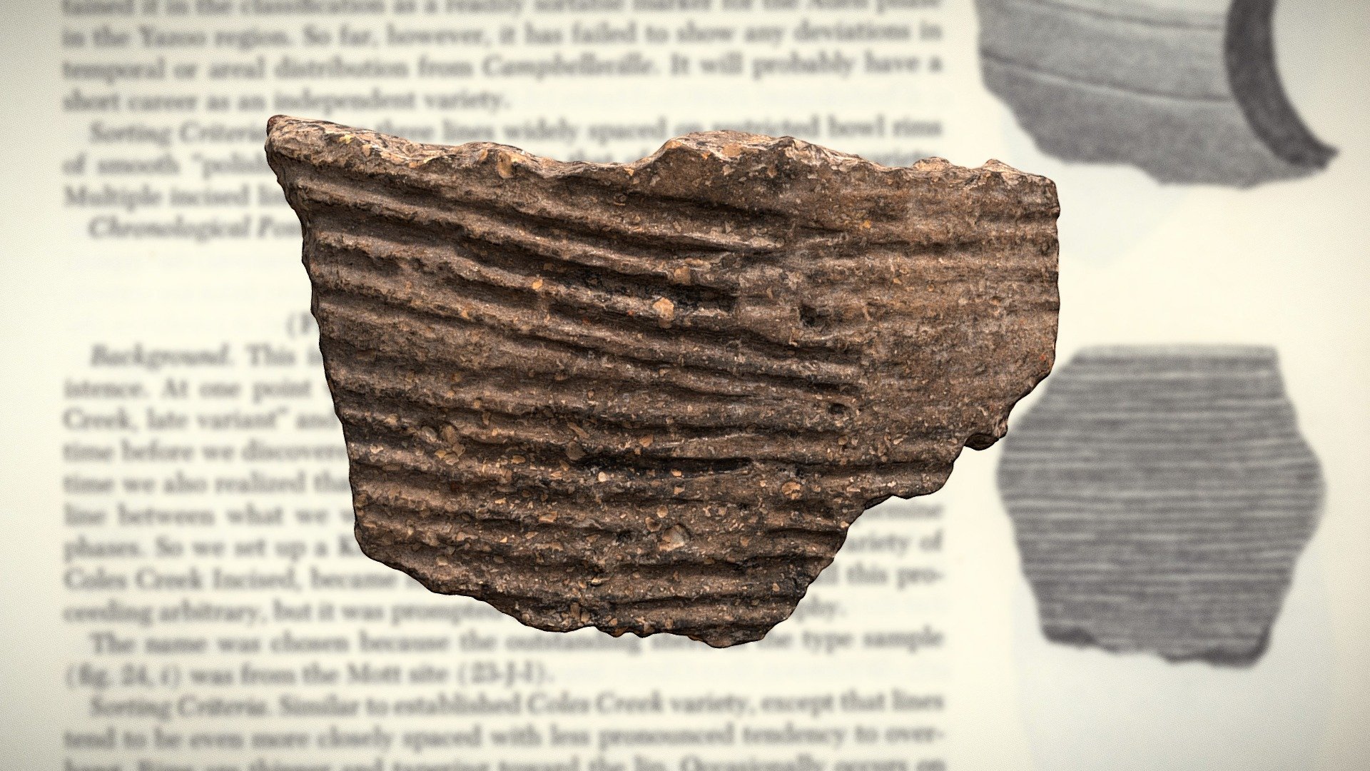 Coles Creek Incised Rim Fragment