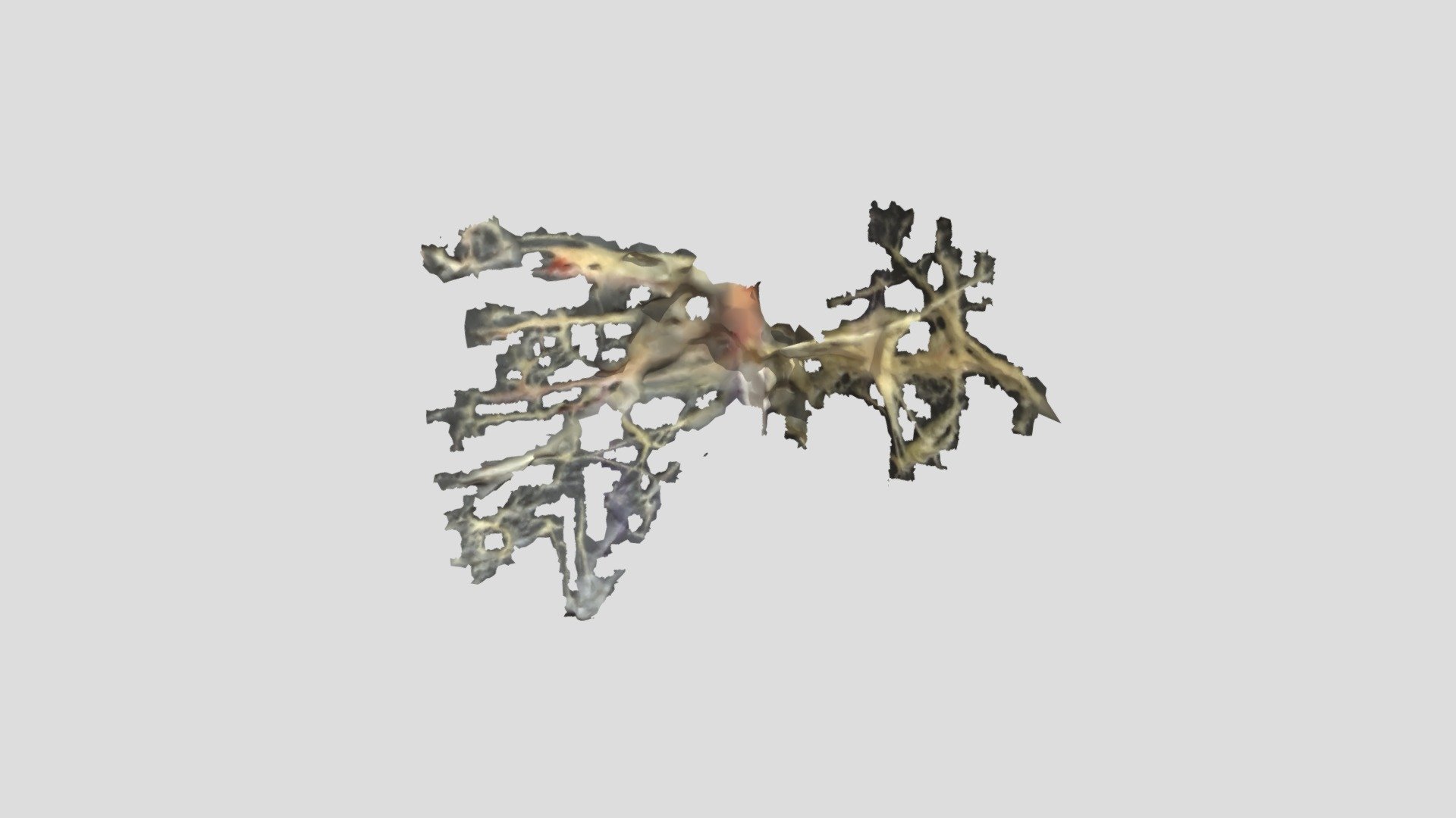 SEKEREMODEL