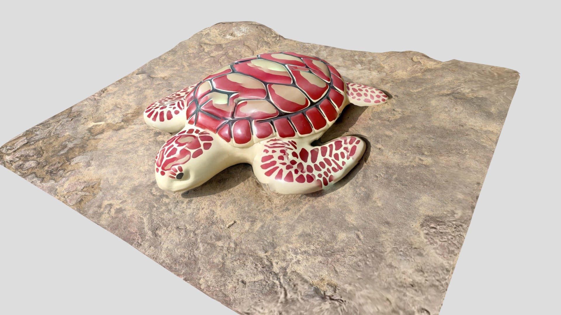 Turtle toy