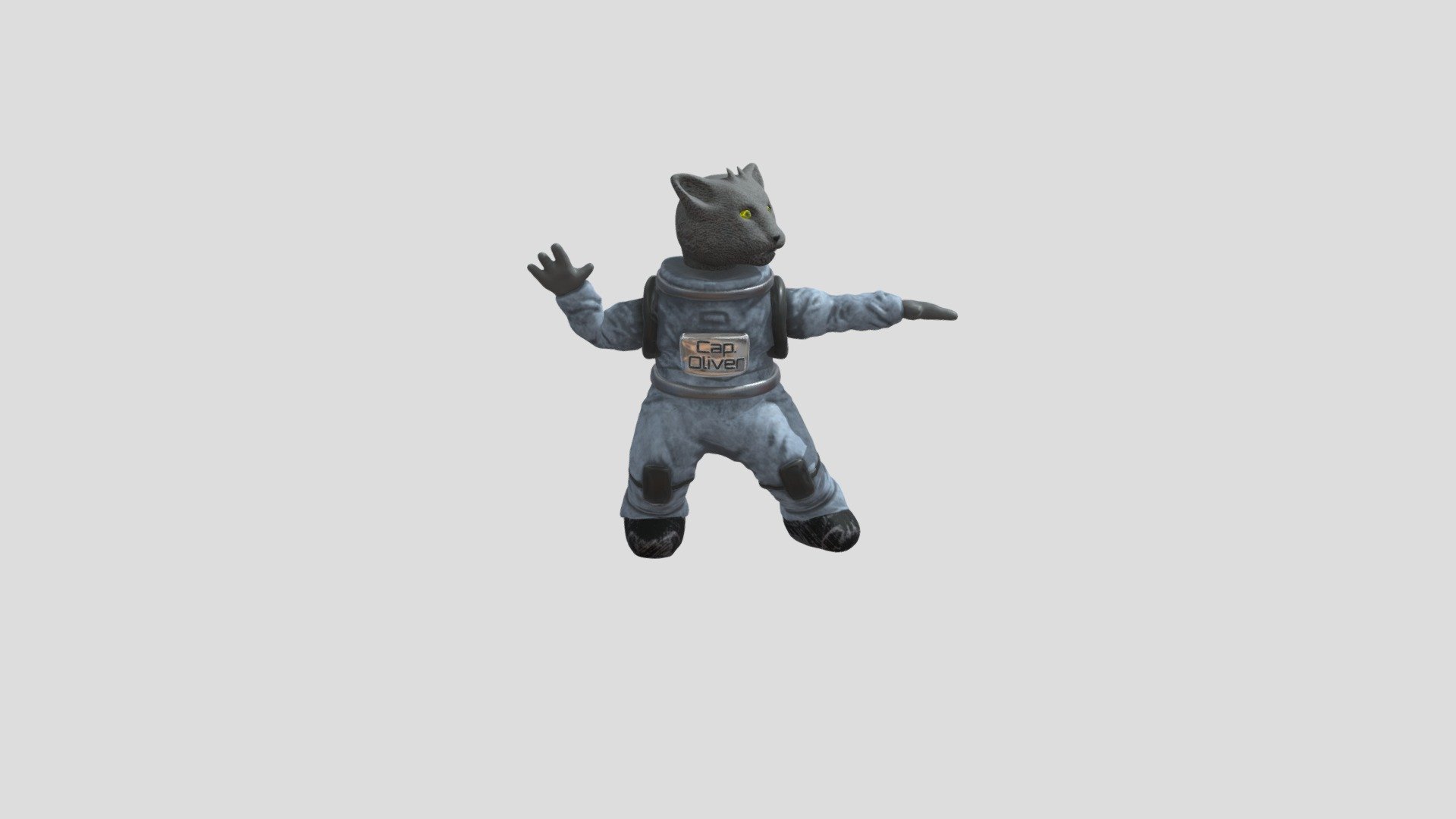 Space Cat