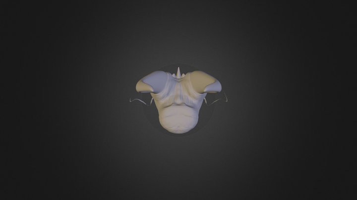 Dragon Head Test 3D Model