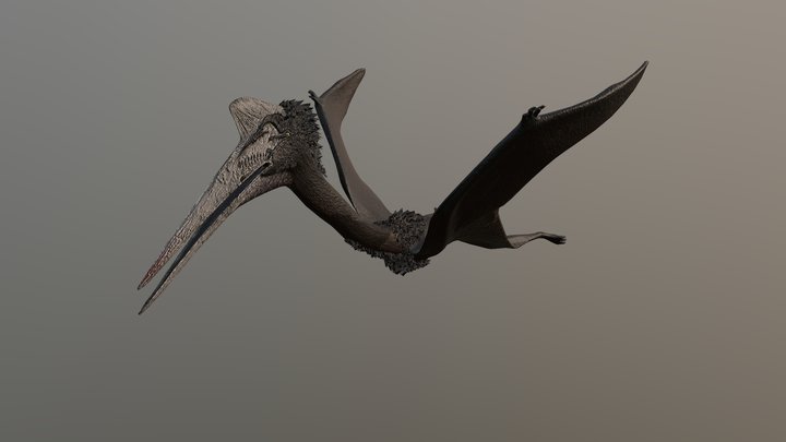 Quetzalcoatlus – Free 3D Model STL