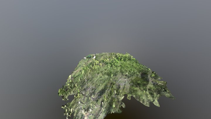 cabin forest before clearcut 3D Model