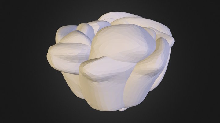 walker_flower 3D Model