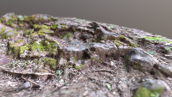 Rock 3D Model