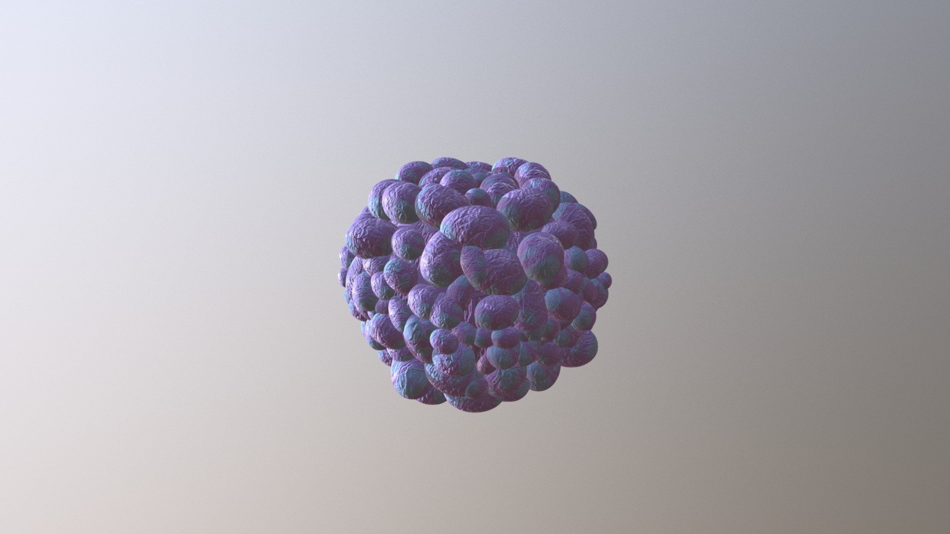 Bubble Coral